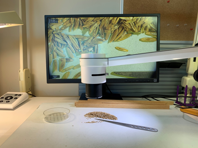 A close-up image of a microscope is shown. A computer monitor is in the background. A petri dish and a scalpel are on the table.